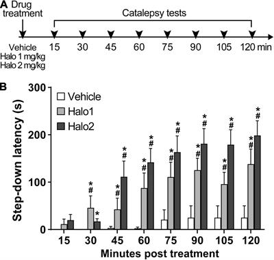 Effects of Immediate Aversive Stimulation on Haloperidol-Induced Catalepsy in Rats